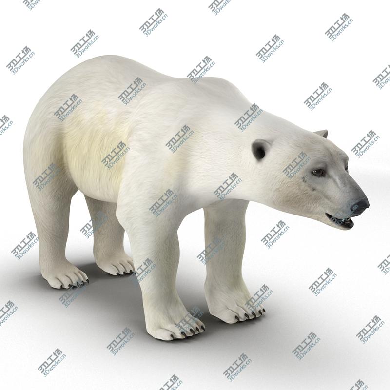 images/goods_img/202105071/Polar Bear/5.jpg